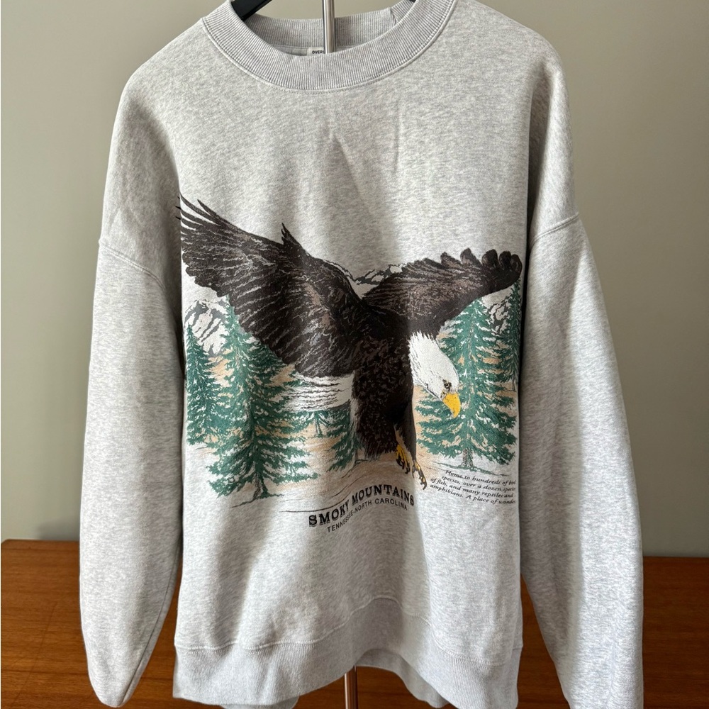 Abercrombie & Fitch Gray Crewneck Sweater with Bold Nature Graphic